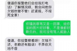 申扎为什么选择专业追讨公司来处理您的债务纠纷？